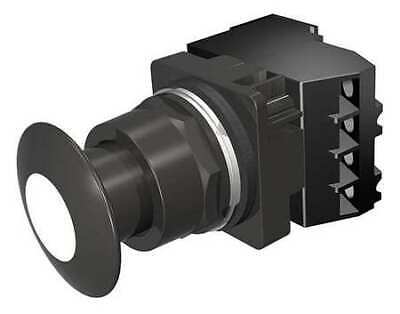 SIEMENS 52BP2GBA Illuminated Push Button,1NO/1NC,120VAC