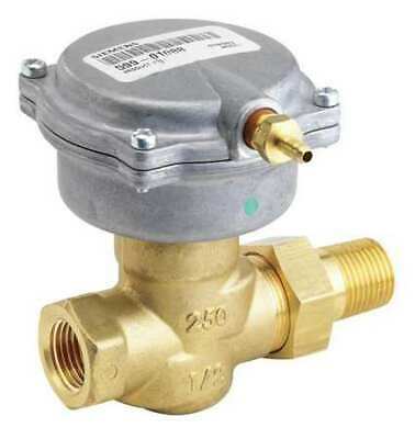 Siemens 257-02042 Zone Valve,Globe, 1/2 In. Npt