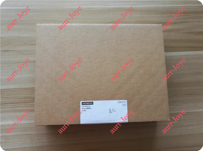 Siemens 6DD1660-0AK0 New In Box   by DHL or UPS 