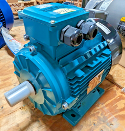 HP MOTOR