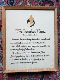 FLAME TRADEMARK PRINT