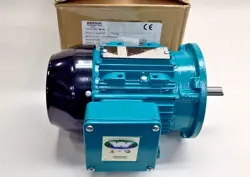 ELECTRIC MOTOR BF4N.33-2C
