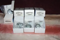 PTFE SEAL KIT