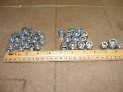 NUT ONLY LOT