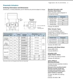 STAINLESS STEEL PNEUMATIC