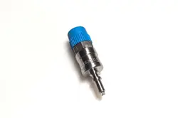 CV STEM
