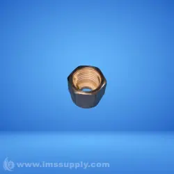 NUT FNIP