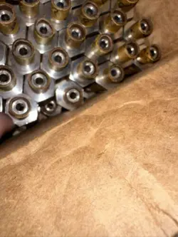 NIPPLES