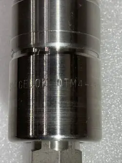 316 FEMALE