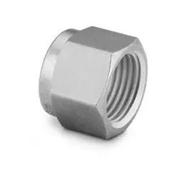 SWAGELOK NY-402-1 NYLON NUT FOR 1/4 IN. SWAGELOK TUBE FITTING FNSP
