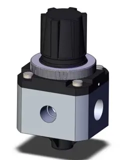 WITH SWAGELOK SS-600-2-6