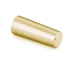 PLUG FNSP