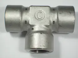 FEMALE NPT SS-12-T