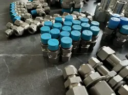 LOT MANY