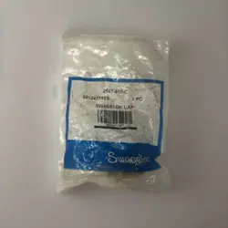 SWAGELOK 2507-810-C 2507 SUPER DUPLEX CAP FOR 1/2 IN. OD TUBING FNSP
