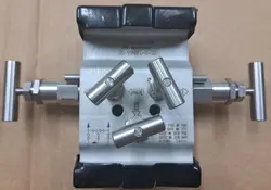 5-VALVE MANIFOLD SS-V5NBFL