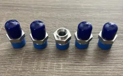MNPT 316SS