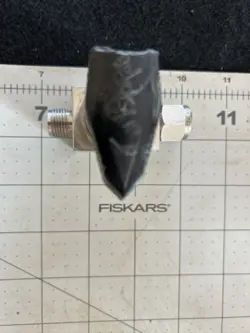 FNSP?