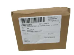 PGI-100C-PG300-LAO1 PRESSURE GAUGE
