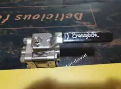 SS-65TF12 SWAGELOK BRAND NEW FAST SHIPPING BY DHL