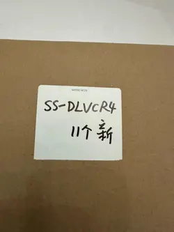 SS-DLVCR4