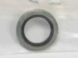 CARBON STEEL GASKET