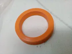 POLYMYTE
