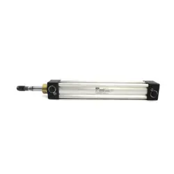 P1D 10PSI NSNP