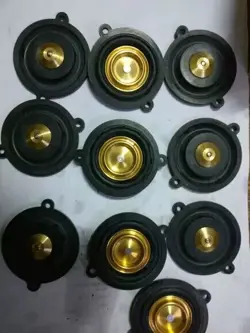 306120SP