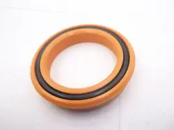 PARKER DEEP POLYPAK