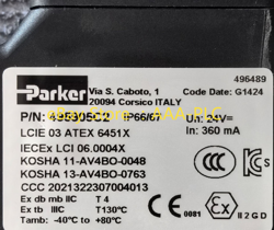 495905C2 PNEUMATIC VALVE