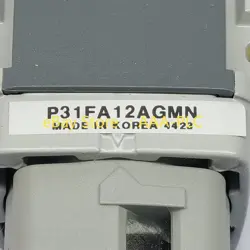 P31FA12AGMN