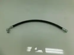 WP