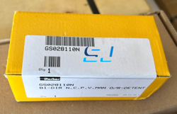VALVE GS028110N