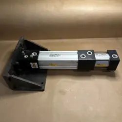 P1D-