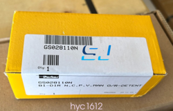 VALVE GS028110N#YC