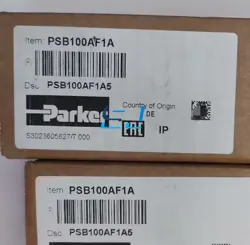 RELAY PSB100AF1A5 BRAND