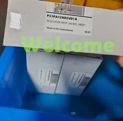 P31PA12AD2VD1A PROPORTIONAL VALVES