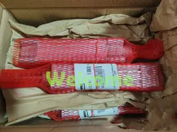 P1F-S040MS-0100-P025 CYLINDER FAST