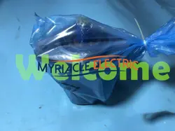 MOTOR FAST