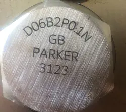 D06B2P0.1NGB