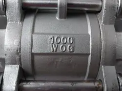 495905C2