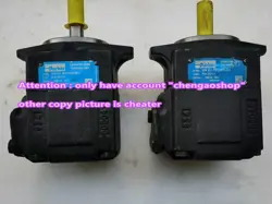 1PCS USED T67B E11 1R00 A100 R12615 PARKER PUMP VIA DHL OR FEDEX