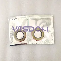 MOTOR OIL SEAL