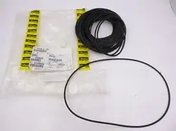 O-RING SEALS 12.975