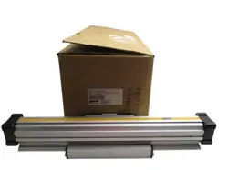 P45000000000-00254 NSMP