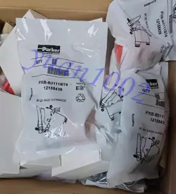 1PCS NEW PARKER PXB-B3111BT4 PNEUMATIC VALVE FAST DELIVERYFEDEX