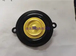 DIAPHRAGM