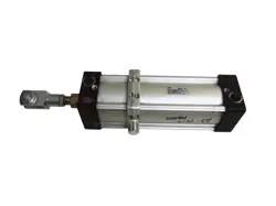 P1D4G100MC-0250NGNNN CYLINDER