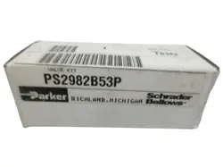 PS2982B53P VALVE KIT